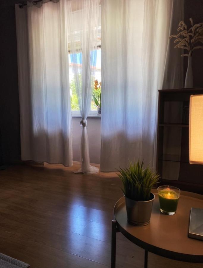 מטולי Zogar Apartment מראה חיצוני תמונה